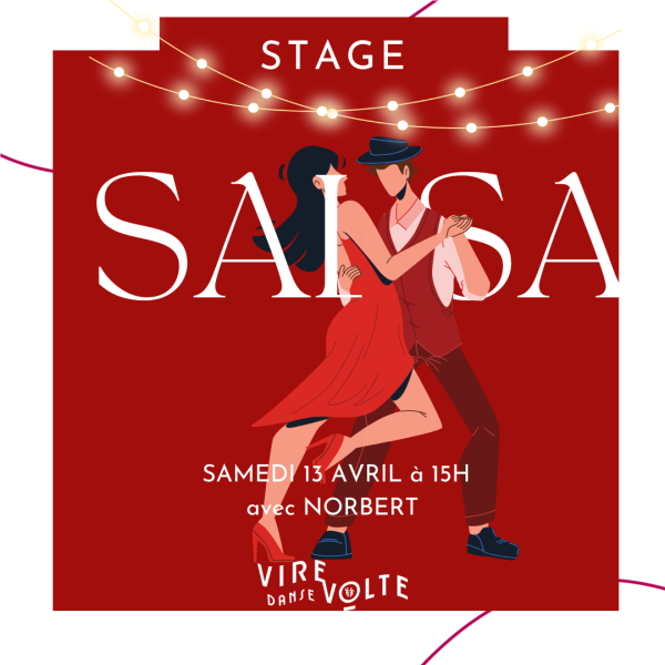 Stage de  Danse Salsa à Aix en Provence Les Milles (13)