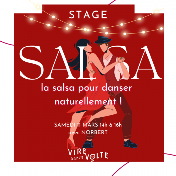 Stage de Danse Salsa à Aix en Provence Les Milles (13)