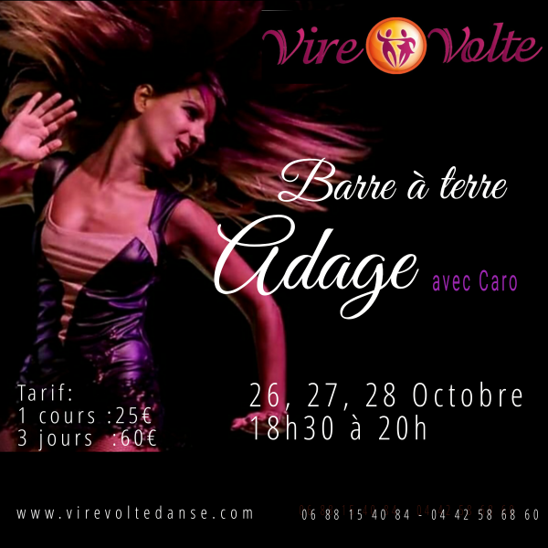 Stage de Barre à Terre Adage Danse Modern'Jazz à Aix en Provence Les Milles (13)