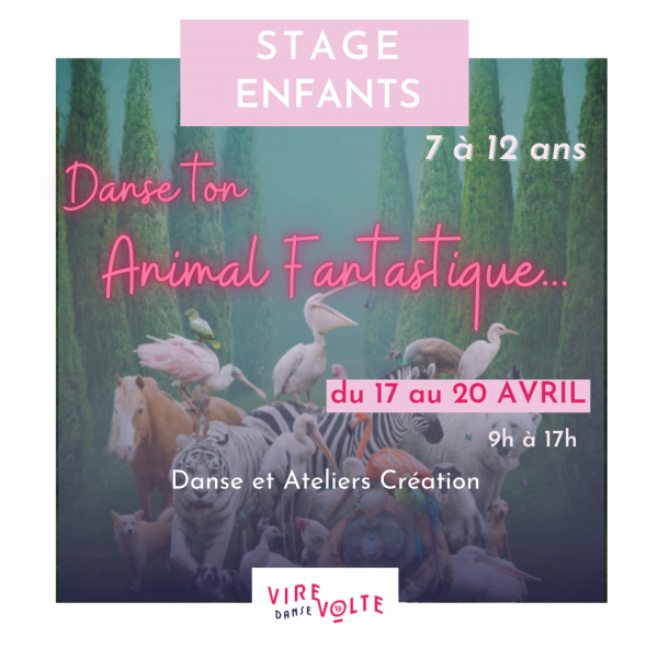 Stage de Danse pour Enfants Danse ton Animal Fantastique à Aix en Provence Les Milles (13)