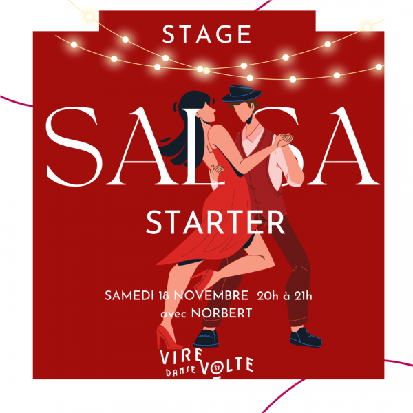 Stage de Salsa à Aix en Provence Les Milles (13)