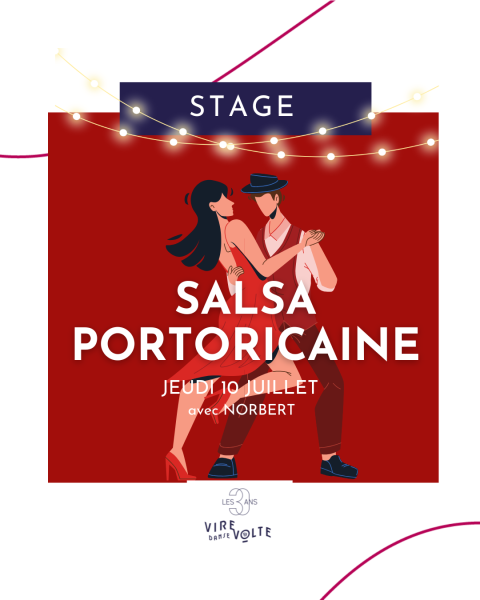 Stage de Danse Salsa Portoricaine Evolutif à Aix en Provence Les Milles (13)